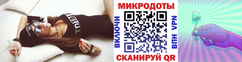 Галлюциногенные грибы Psilocybine cubensis  Михайловск 